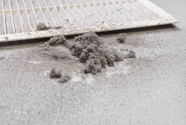 Best Air Duct Cleaning Company Near Me  in Mchenry, IL