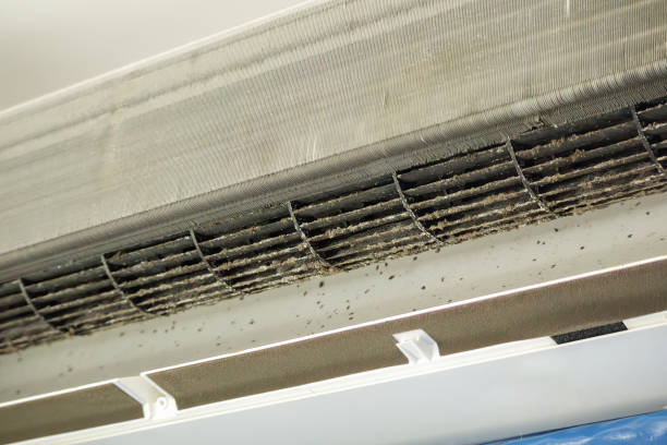 Best HVAC Duct Inspection Services  in Mchenry, IL